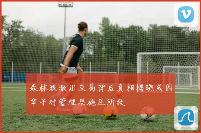 森林狼激进交易背后真相揭晓或因华子对管理层施压所致