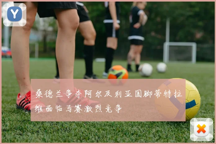 桑德兰争夺阿尔及利亚国脚蒂特拉维面临马赛激烈竞争