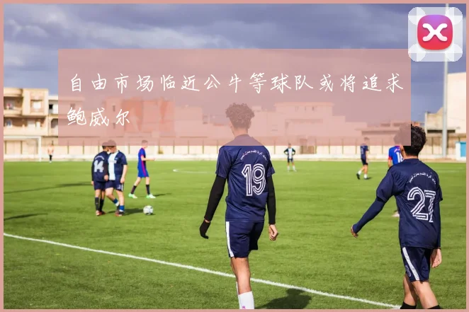 自由市场临近公牛等球队或将追求鲍威尔