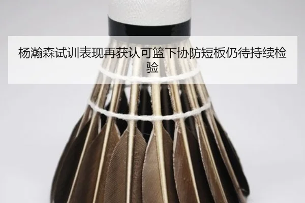 杨瀚森试训表现再获认可篮下协防短板仍待持续检验（yabo）
